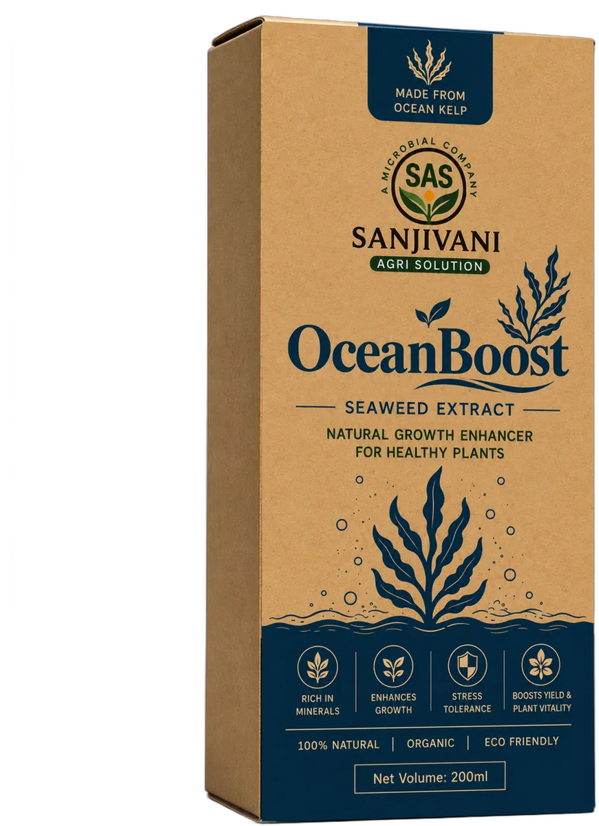 OceanBoost Front